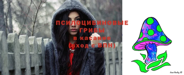 ГАЛЛЮЦИНОГЕННЫЕ ГРИБЫ Инта
