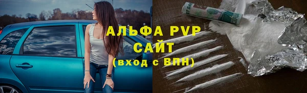 ГАЛЛЮЦИНОГЕННЫЕ ГРИБЫ Инта
