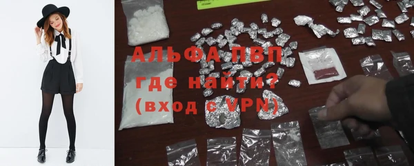ГАЛЛЮЦИНОГЕННЫЕ ГРИБЫ Инта