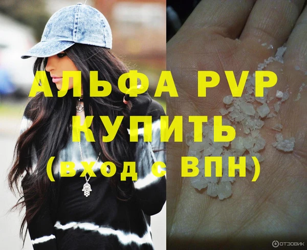 ГАЛЛЮЦИНОГЕННЫЕ ГРИБЫ Инта