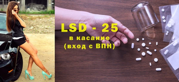 ГАЛЛЮЦИНОГЕННЫЕ ГРИБЫ Инта