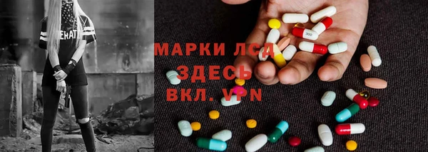 ГАЛЛЮЦИНОГЕННЫЕ ГРИБЫ Инта