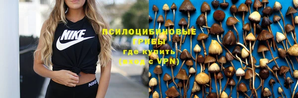 ешки Инсар