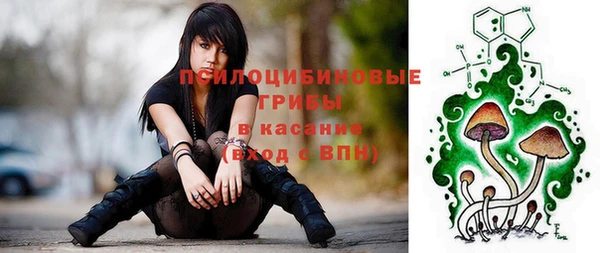ешки Инсар