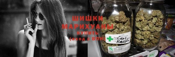 ГАЛЛЮЦИНОГЕННЫЕ ГРИБЫ Инта