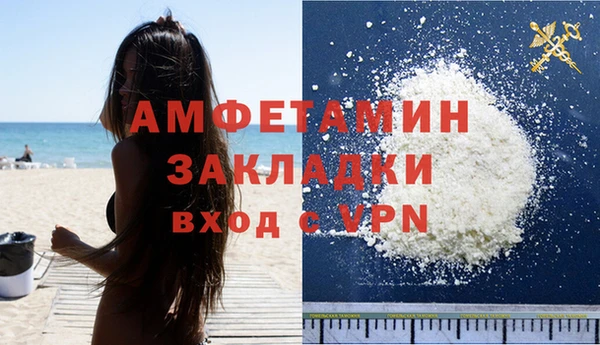 ГАЛЛЮЦИНОГЕННЫЕ ГРИБЫ Инта