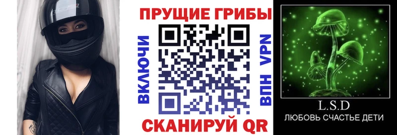 Галлюциногенные грибы прущие грибы  Купить где  Инта 